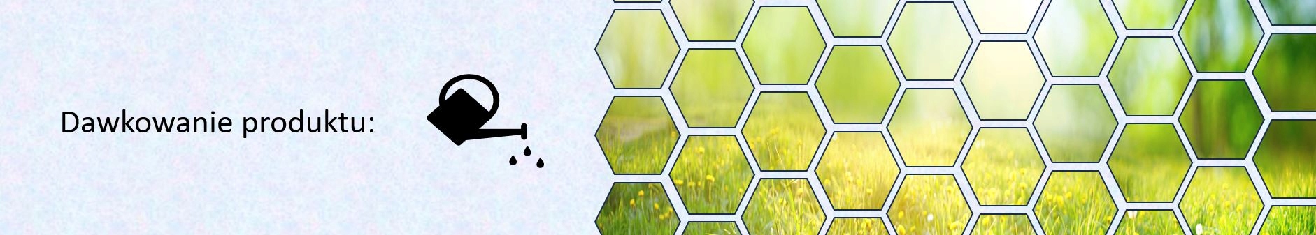 CABRIO DUO 112 EC 1L środek grzybobójczy Forma płyn