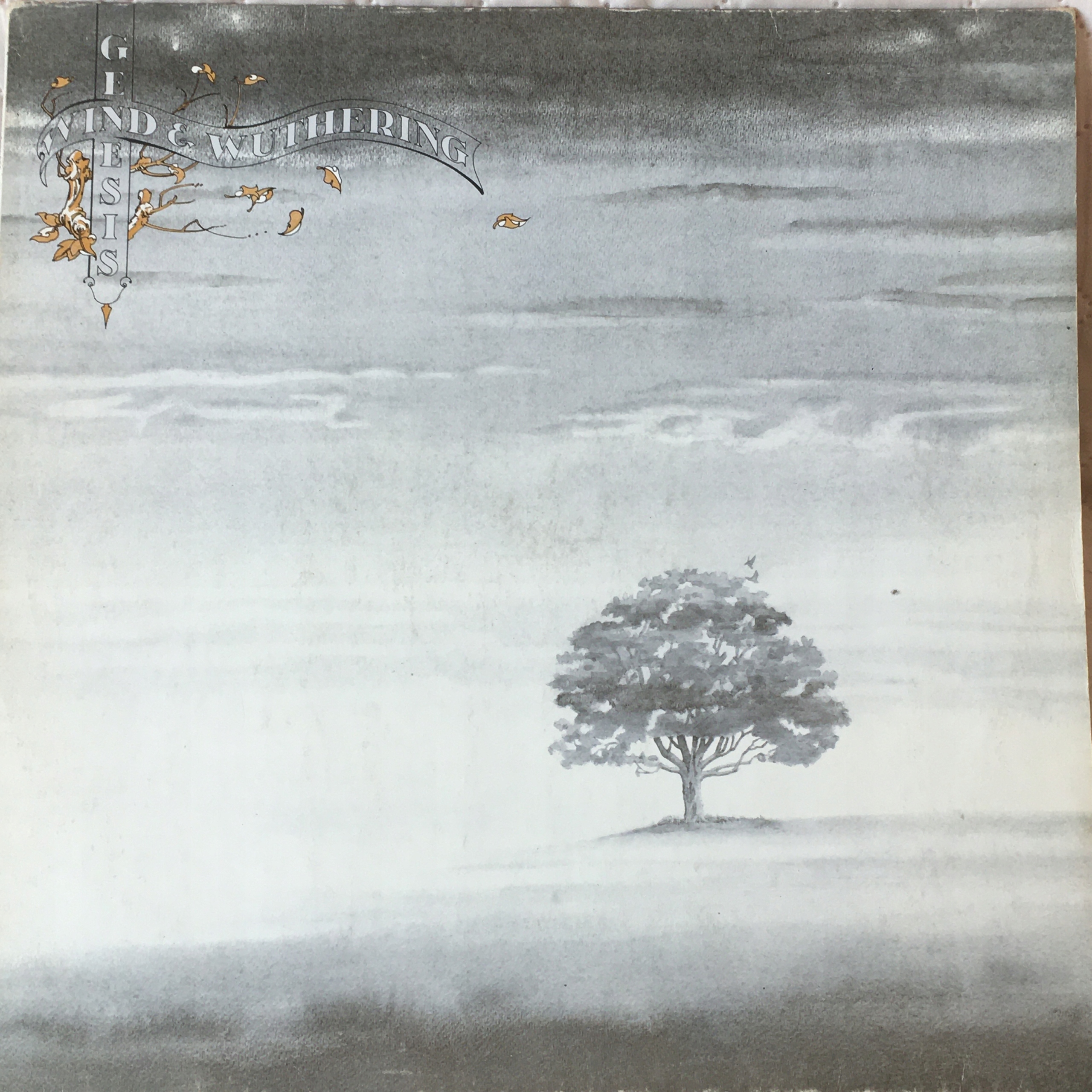 米LP Genesis Wind &amp;amp; Wuthering (180g) R1188156 Rhino Vinyl /00260 米LP Genesis Wind & Wuthering (180g) R1188156 Rhino