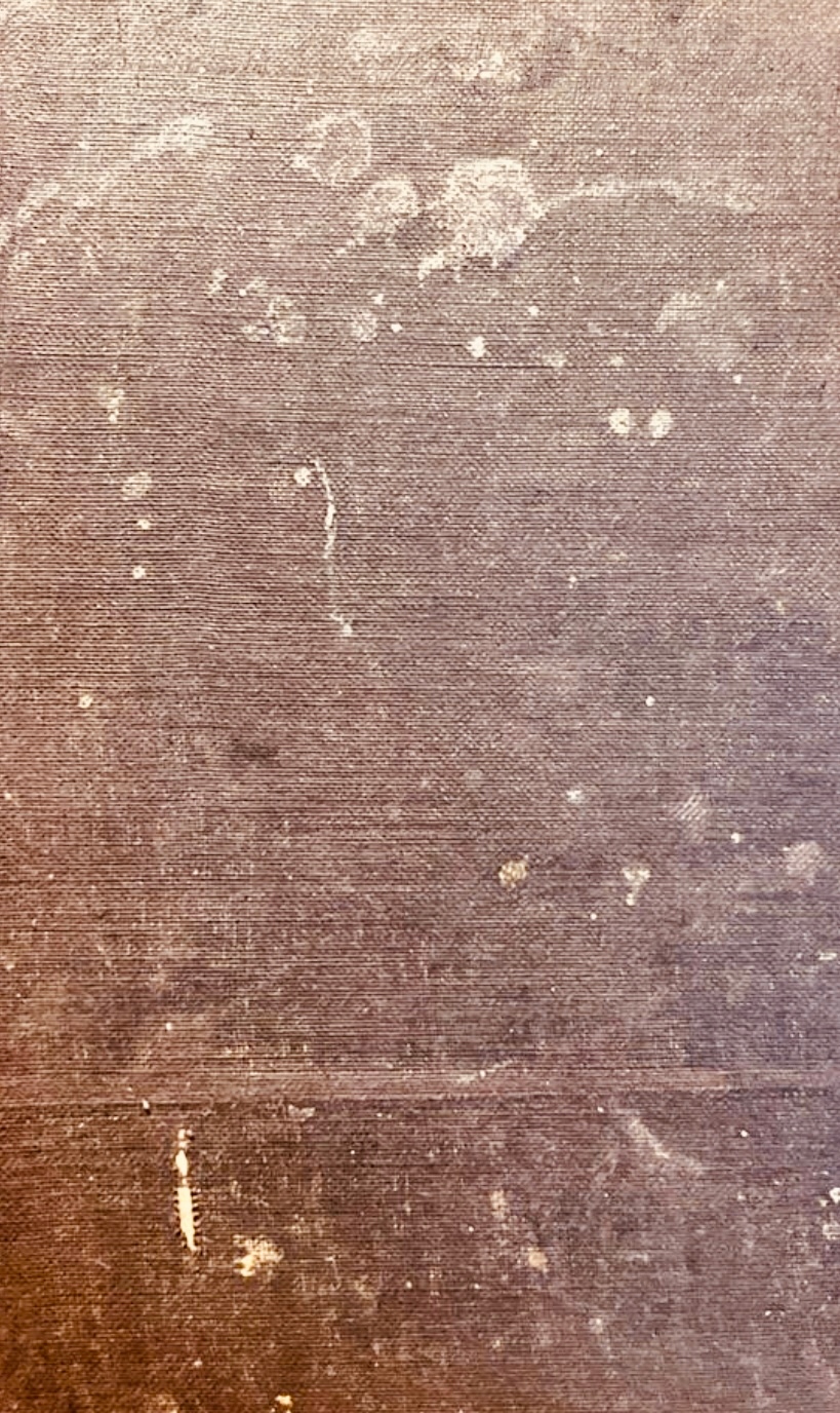 Pedagogika lecznicza Heller Teodor