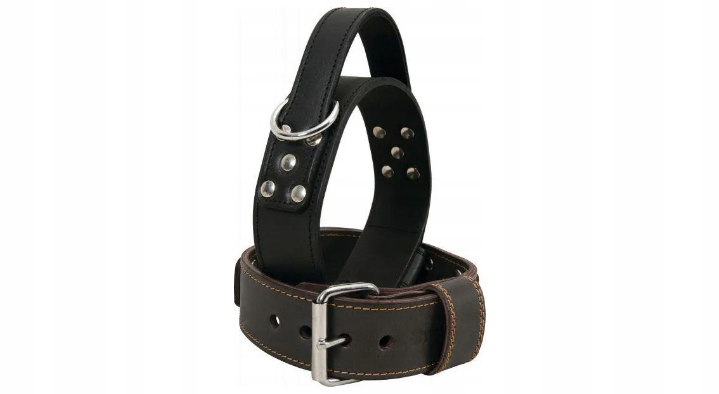 Obroża skórzana z uchwytem dla psa XL 5x70cm Premium Czarna