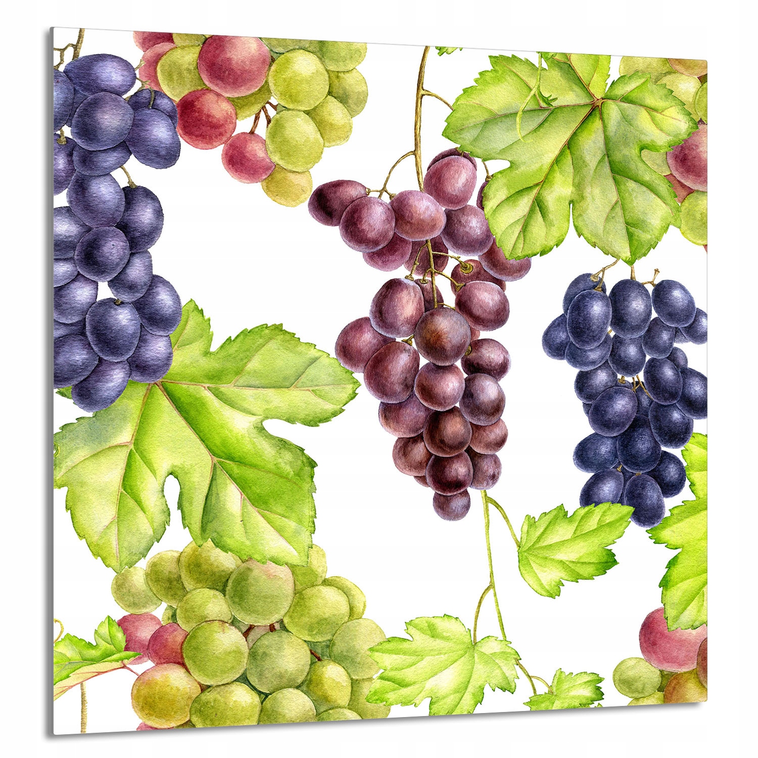 Skleněný Panel Do Kuchyně 60x65 Ovoce Tvrzené Sklo