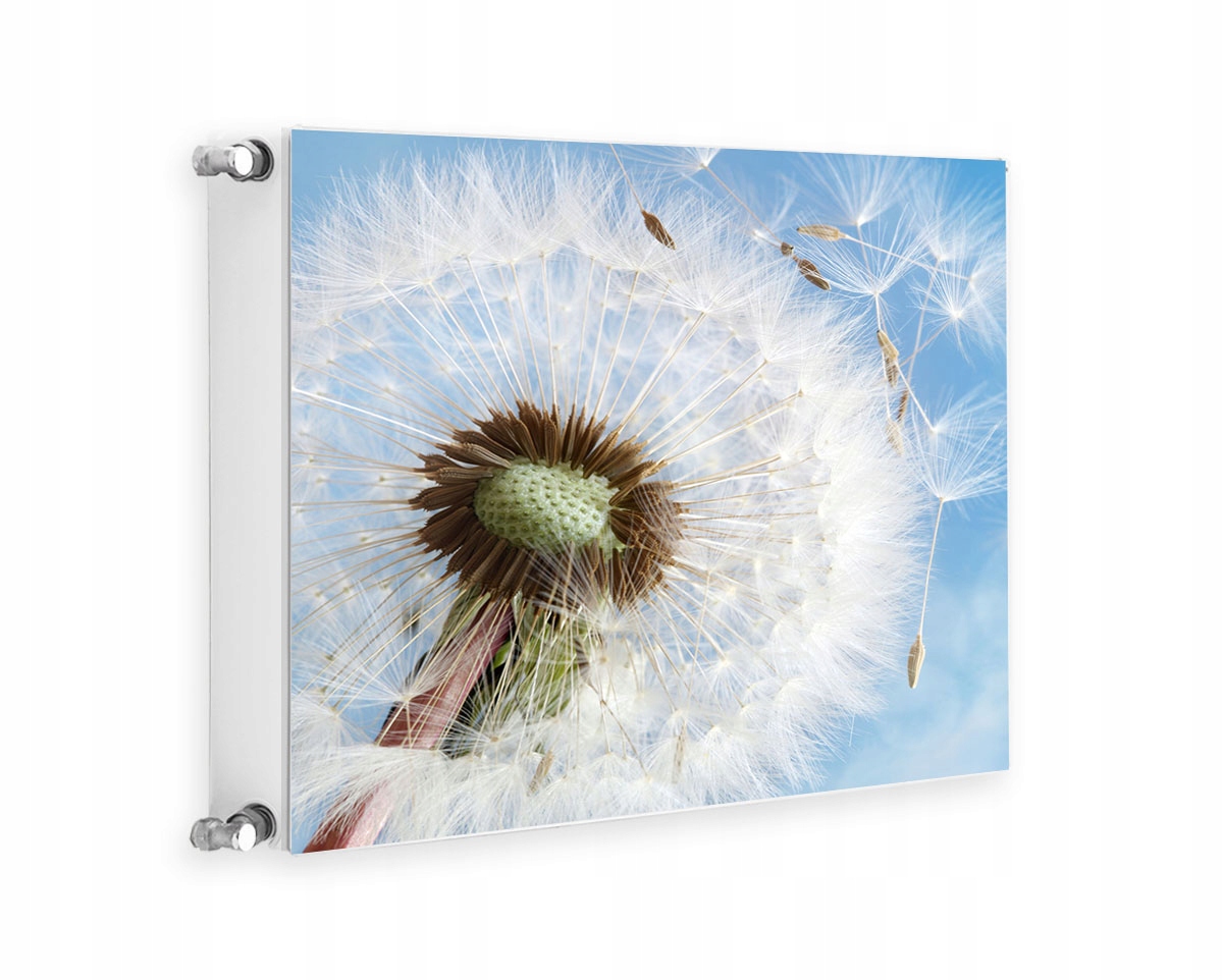 Magnetická Krytka Na Radiátor 60x60 Květiny