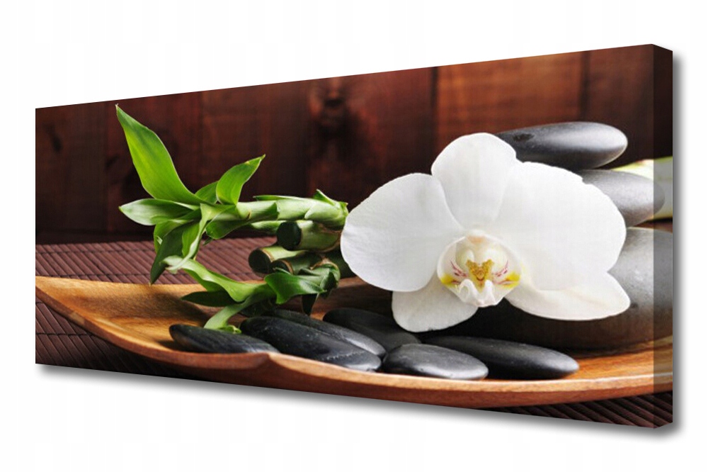 obraz na plátně Bambus Zen Bílý Orchidej 125x50