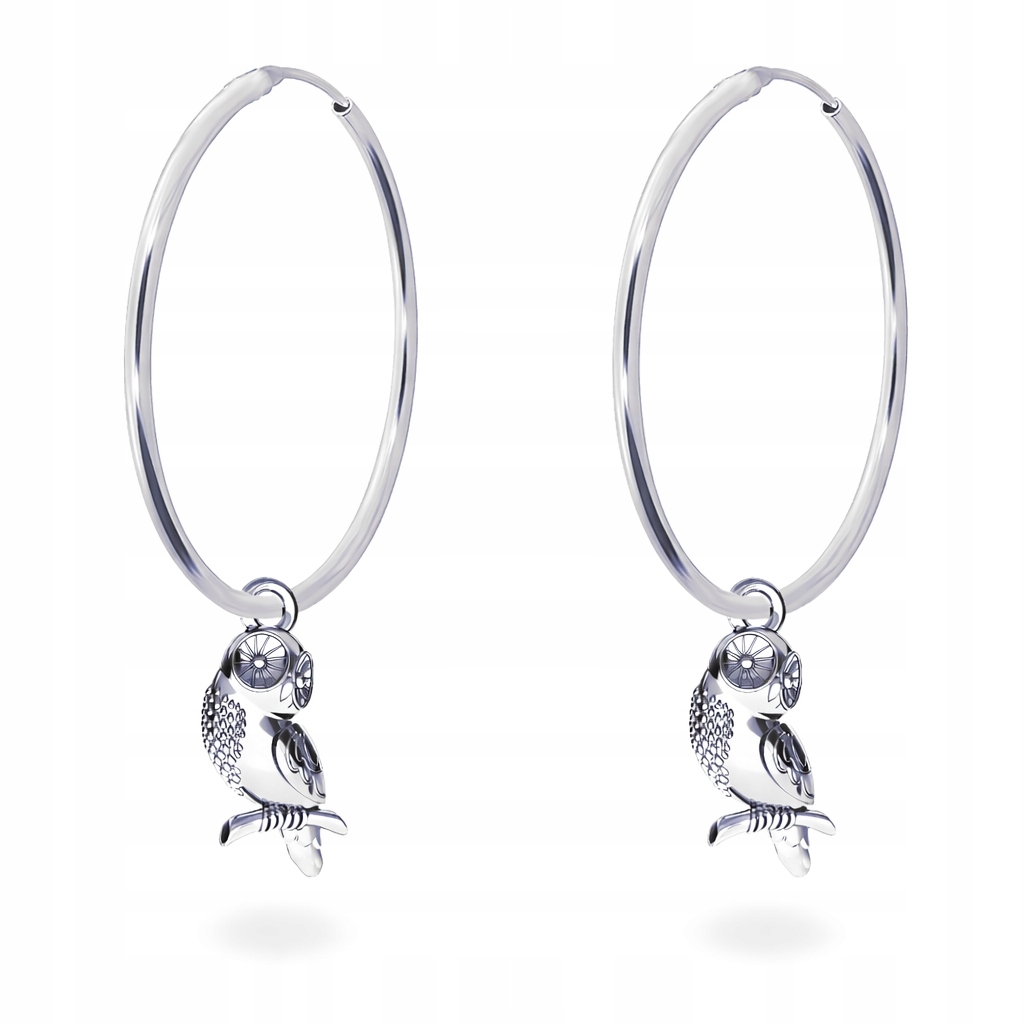 Stříbrné náušnice Sova Velké kruhy Stříbro 925 Symbol poznání a moudrosti