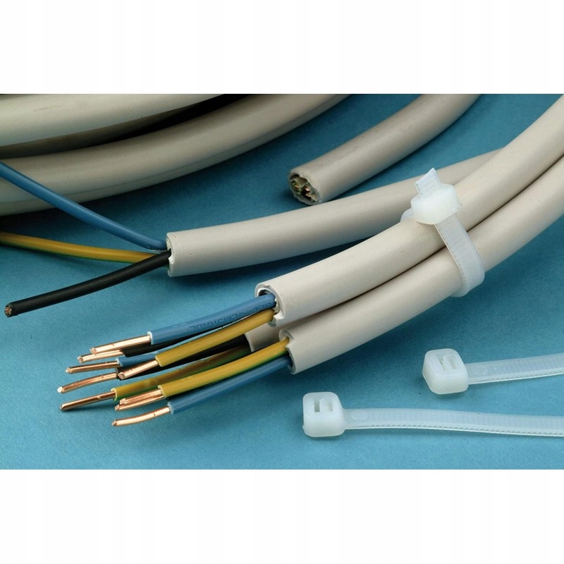 OPASKI ZACISKOWE TRYTYTKI BIAŁE 100SZT. 100X2,5 EAN (GTIN) 5902479410012