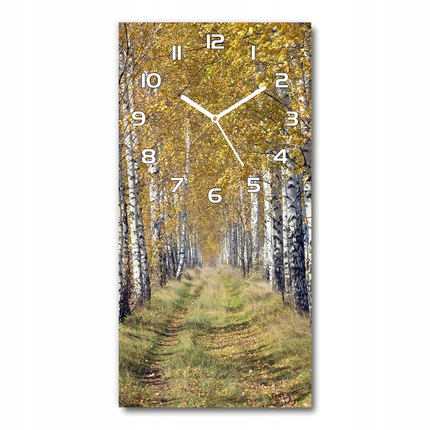

Pionowy cichy zegar ścienny Las brzozowy 30x60 cm