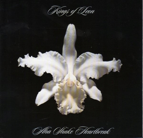 Kings Of Leon – Aha Shake Heartbreak Nowa