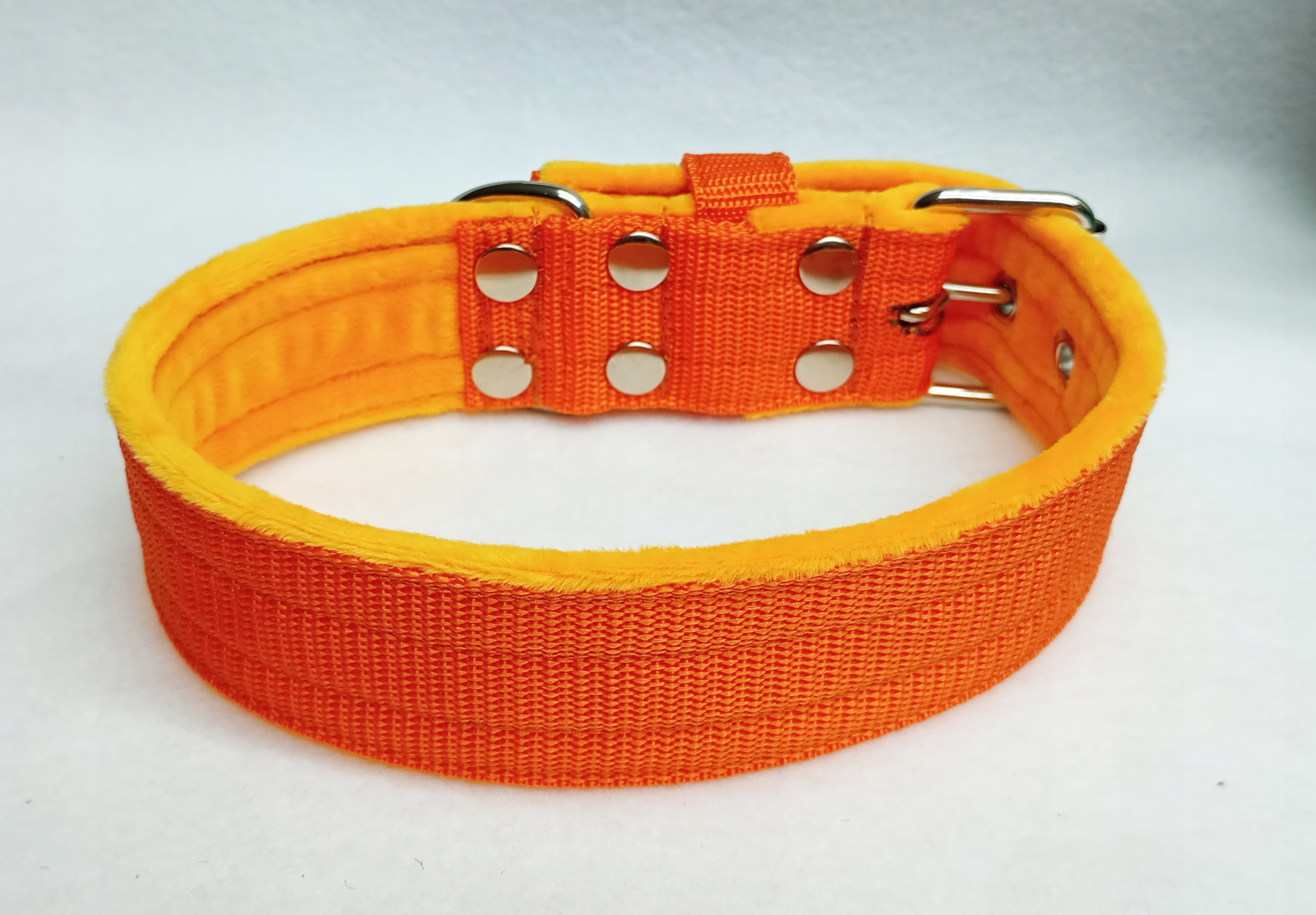 Levně Obojek pro psa s měkkou podšívkou Comfort šířka 5 CM