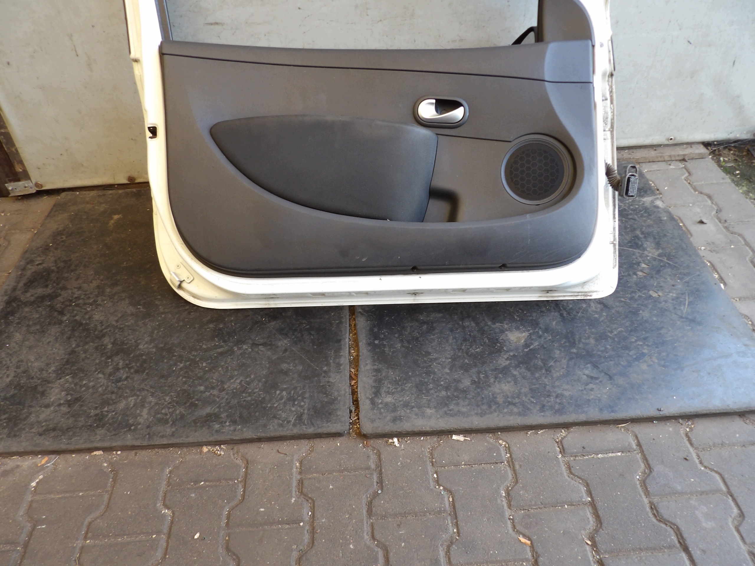 Renault Clio III door front left 3D OV369