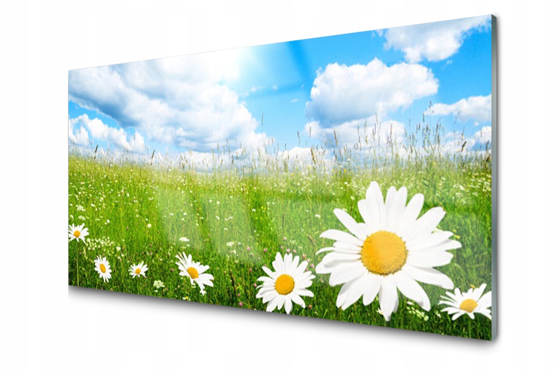 

Panel szklany dekor Stokrotka Trawa 140x70