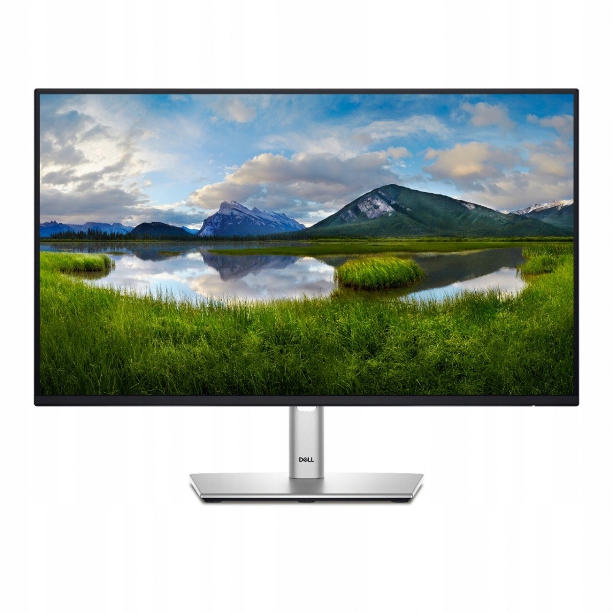 Dell Monitor 24 cale P2425H Led Ips