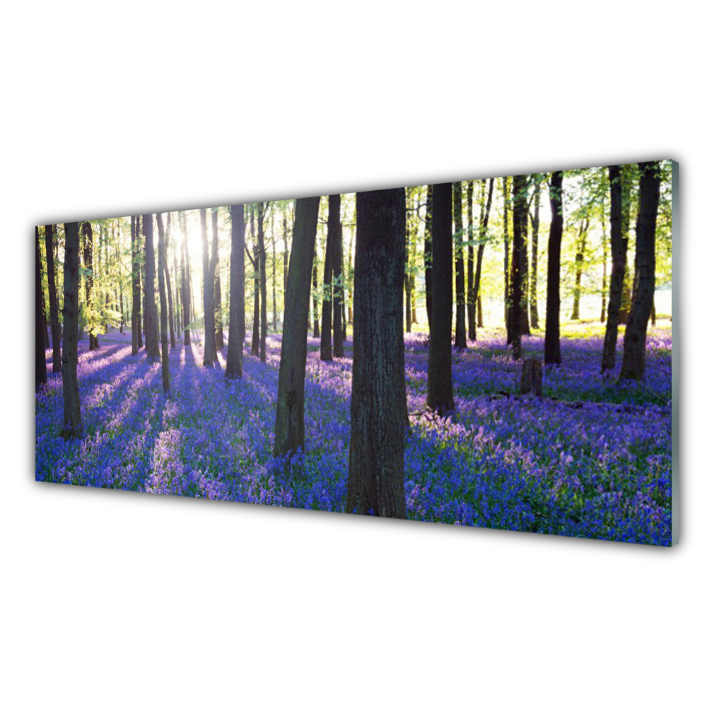 

Obraz akrylowy na ścianę 125x50 Las Drzewa Natura