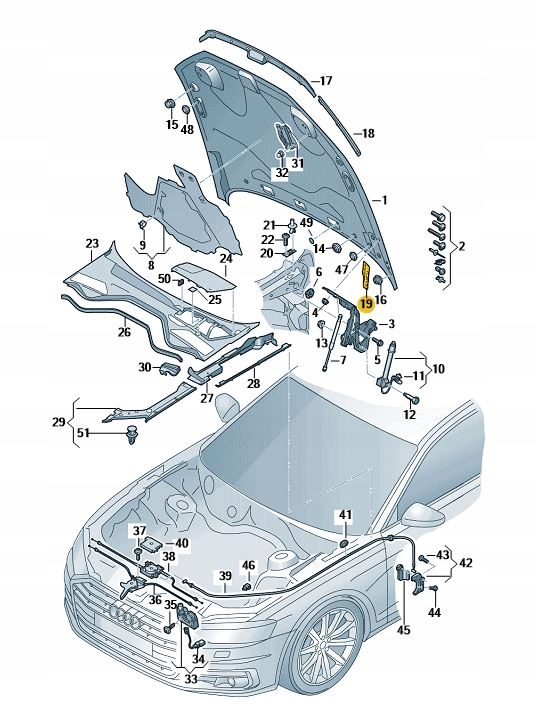 защита Капоты передняя правая Audi A8 D5