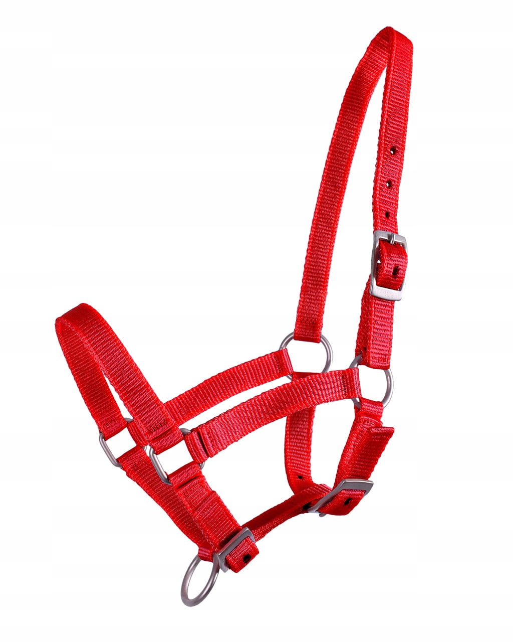 

Qhp Kantar Źrebięcy Red (r: Źrebak 03)