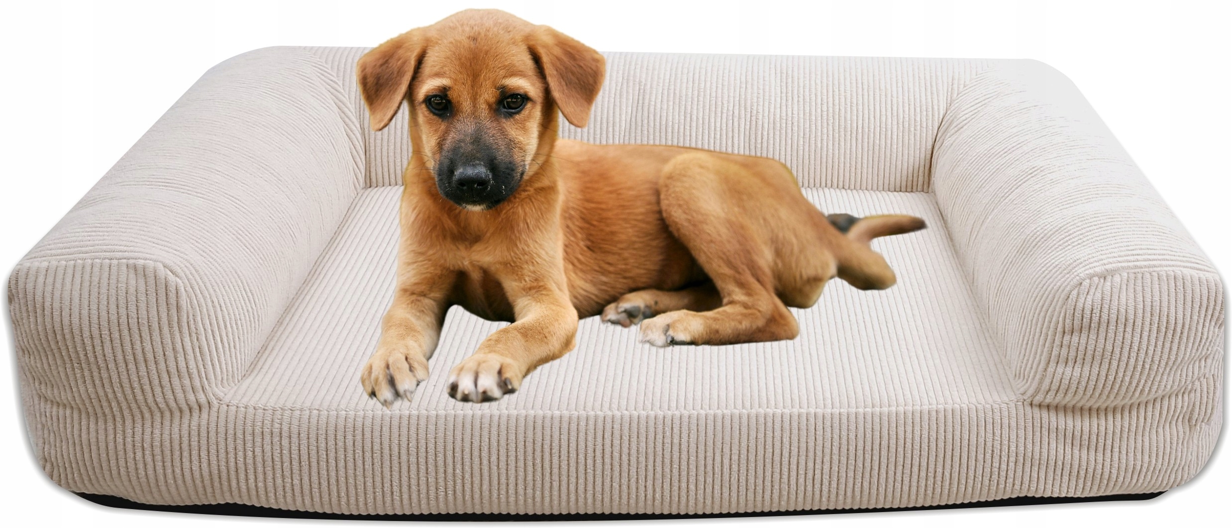 Legowisko Sofa, kanapa ortopedyczna dla psa 80x60 cm zdejmowany pokrowiec