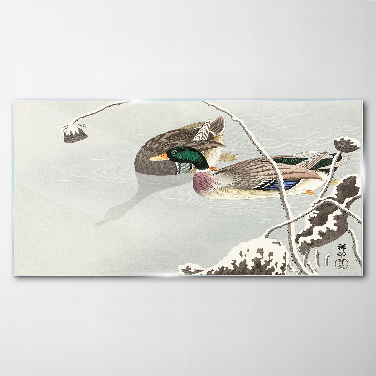 

Foto-obraz szklany Zwierzęta ptaki woda 140x70 cm