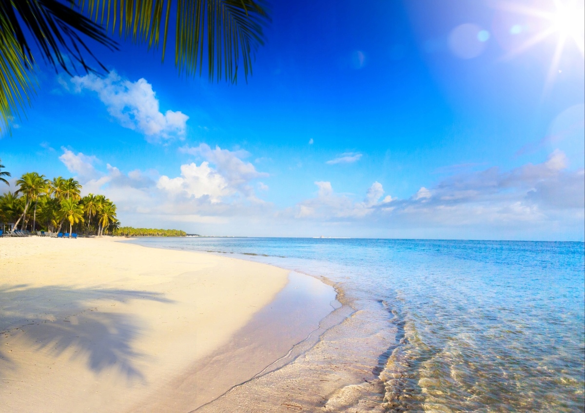 

Fototapeta Flizelinowa Tropikalna plaża 208x146