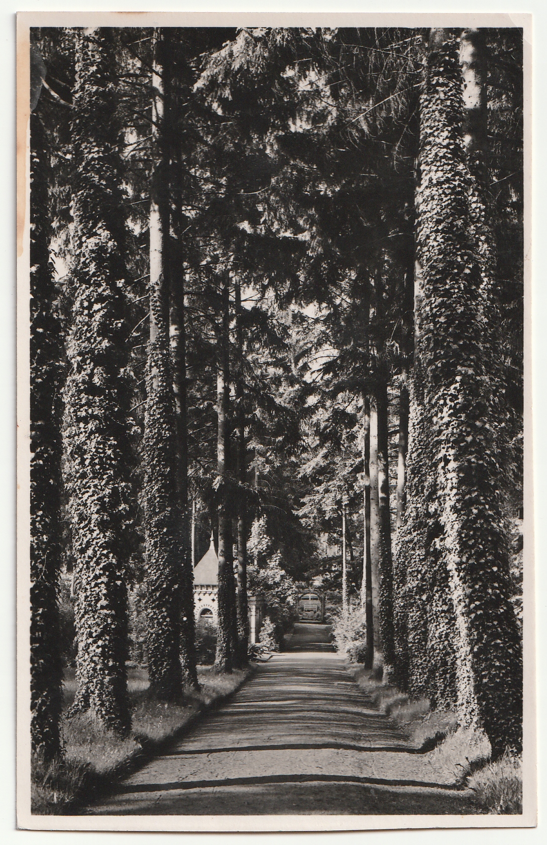 POŁCZYN-ZDRÓJ. Bad Polzin -Kurpark