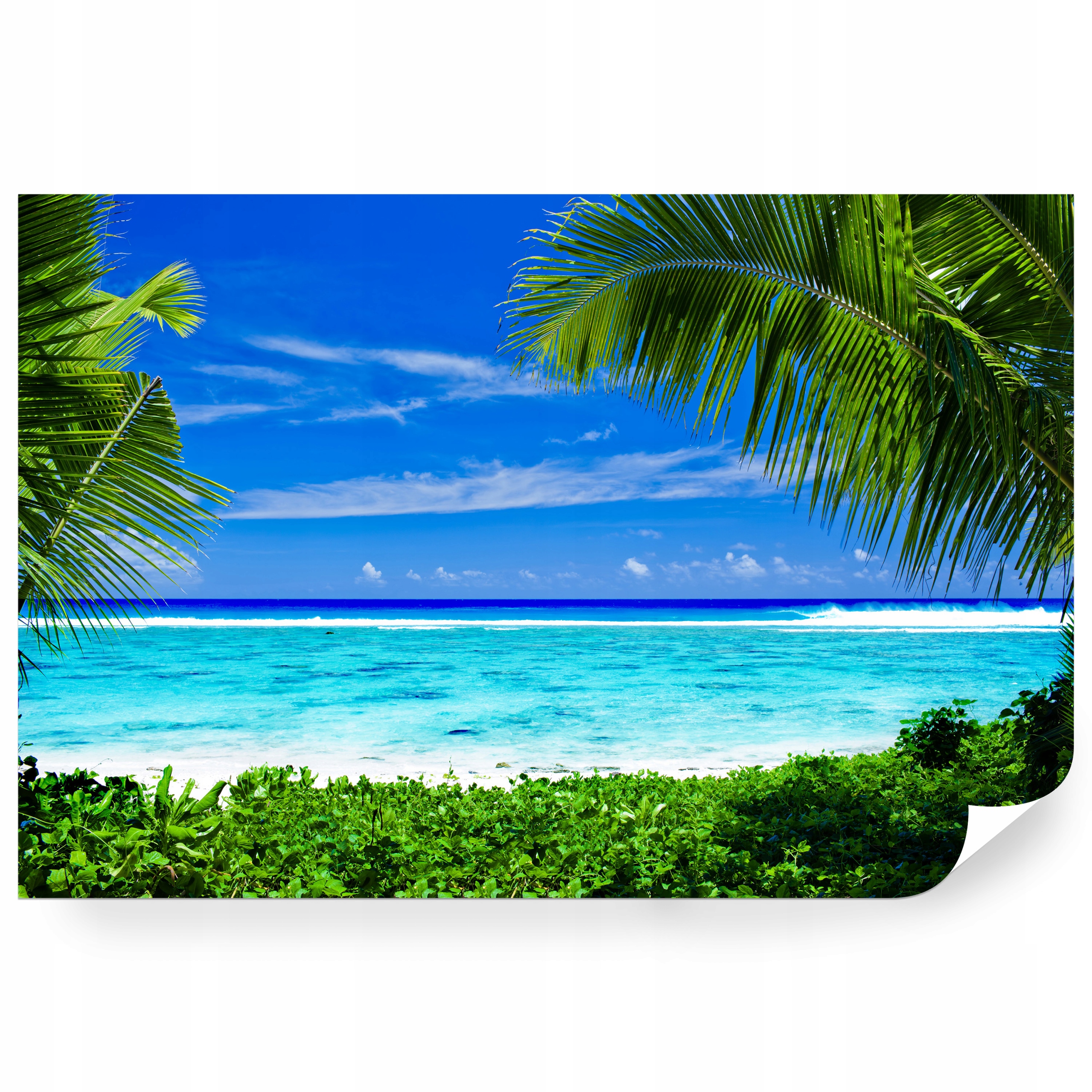 Fototapeta samolepicí Opustošená Pláž S Palmami Karibik 208 x 146 cm