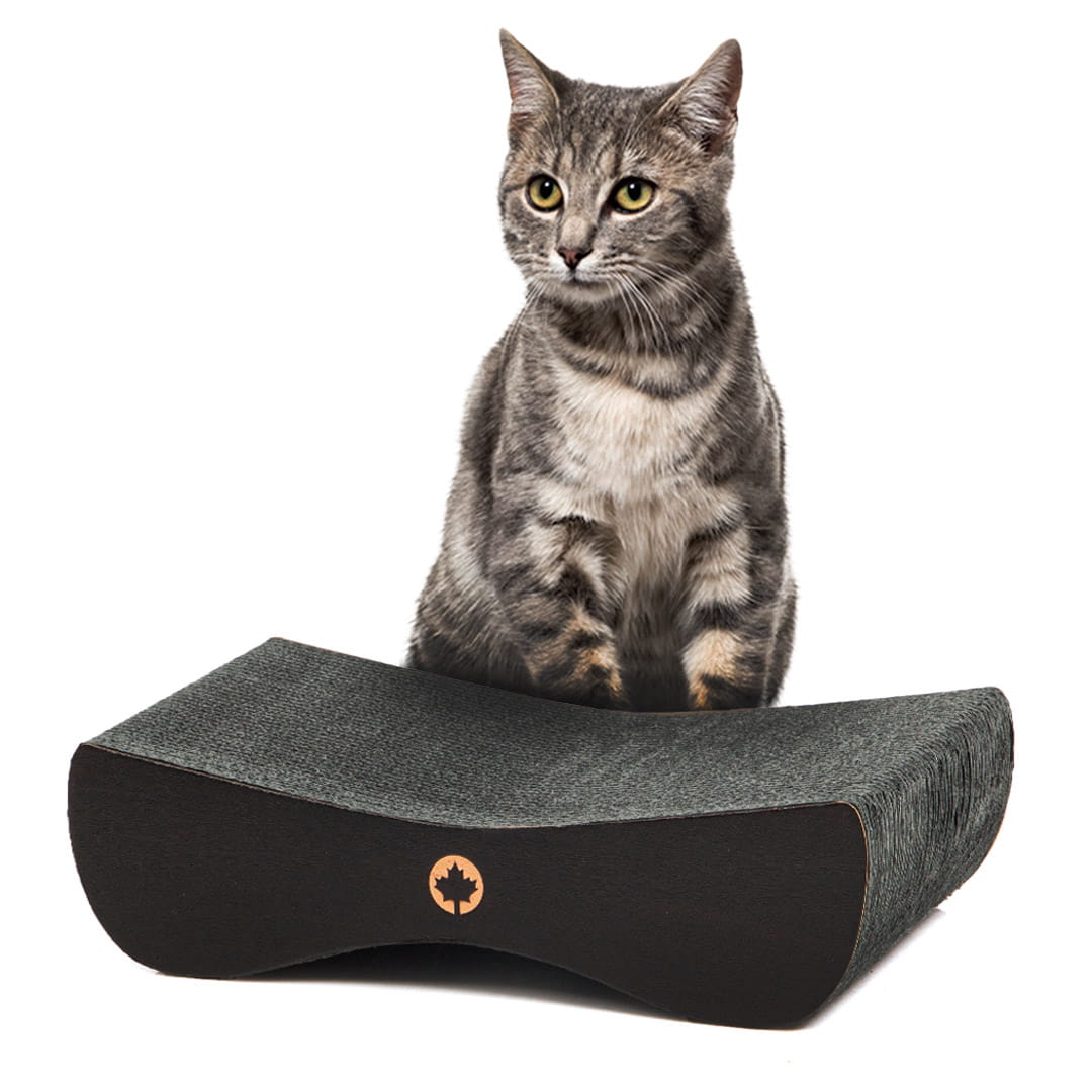 Levně Škrabadlo pro kočky Canadian Cat Satellite 2.0. Small Black
