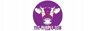 Podróżna gra magnetyczna The Purple Cow Tangram Typ Podstawa