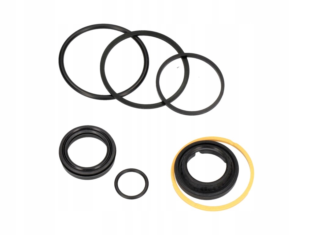 Kit silownika MUSTANG MANITOU N271021