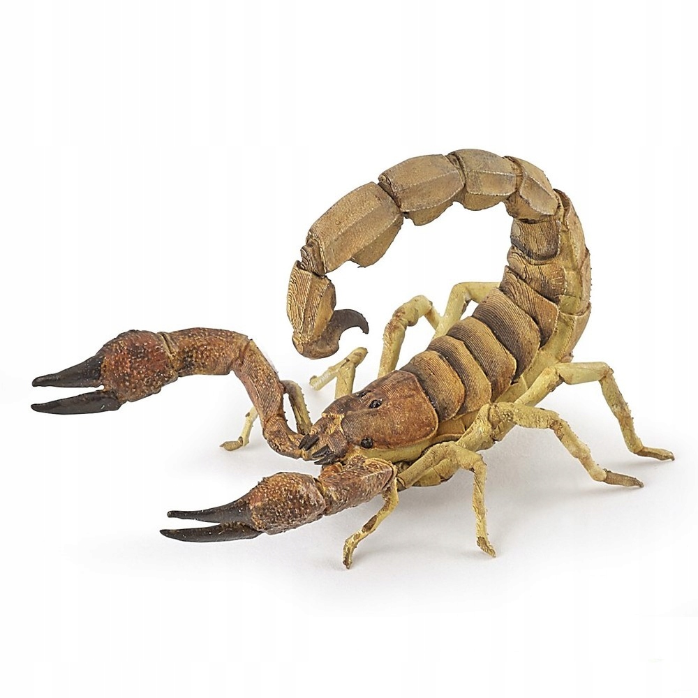 

Skorpion - Standing tiger - Papo - 50209
