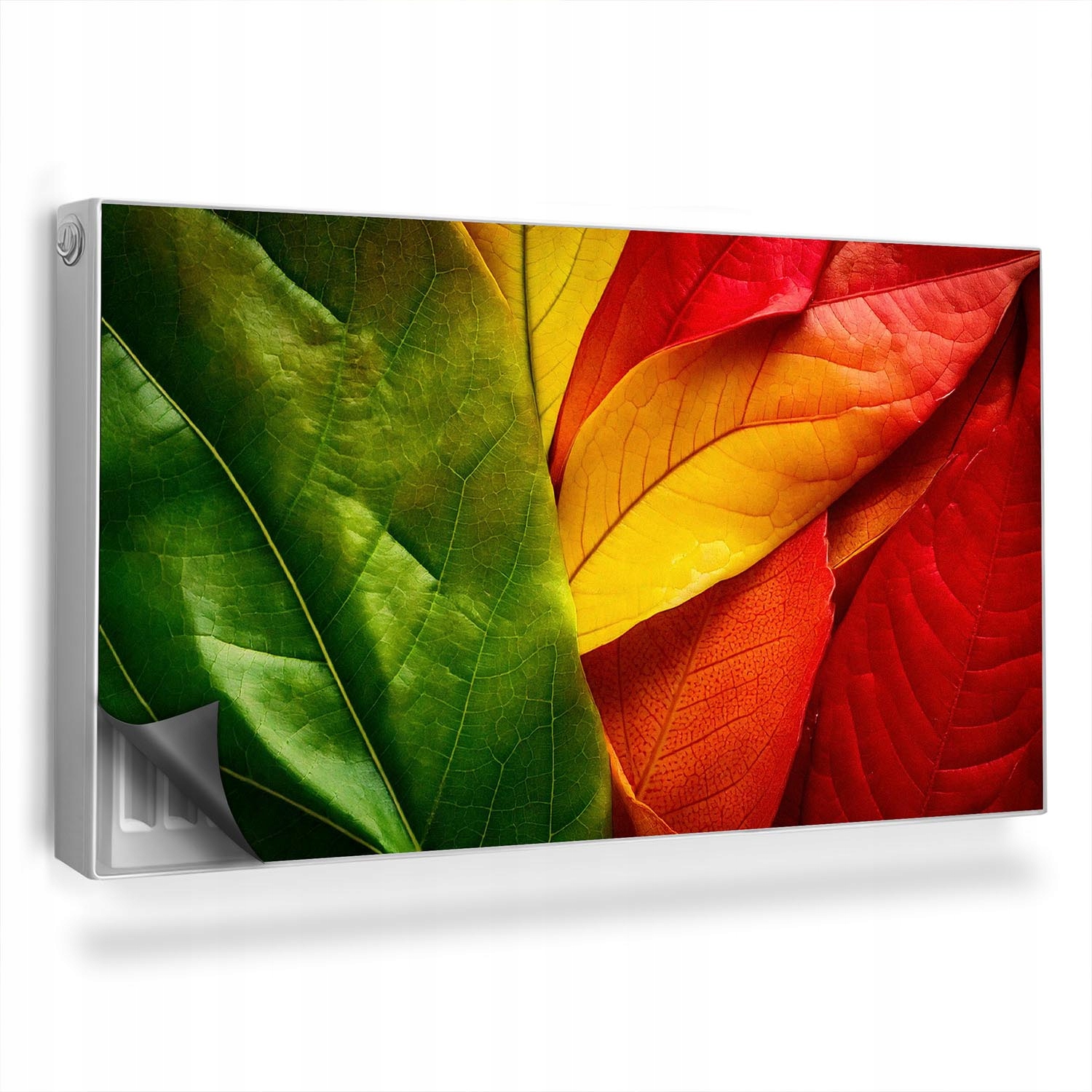 Magnetická krytka radiátoru přiblížení na barevné listy rostliny 110x60