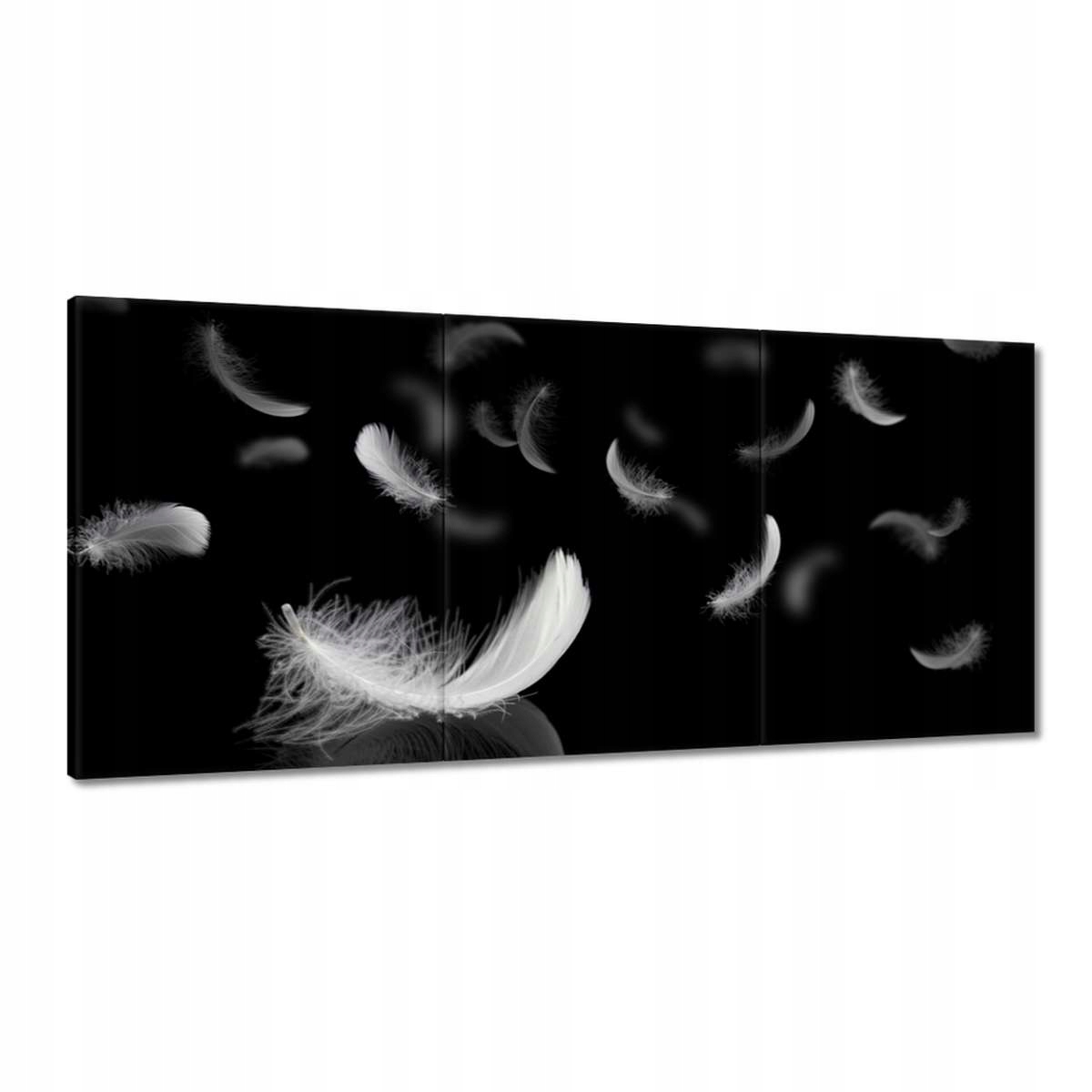 Obrazy 210x100 Padajúce biele perie