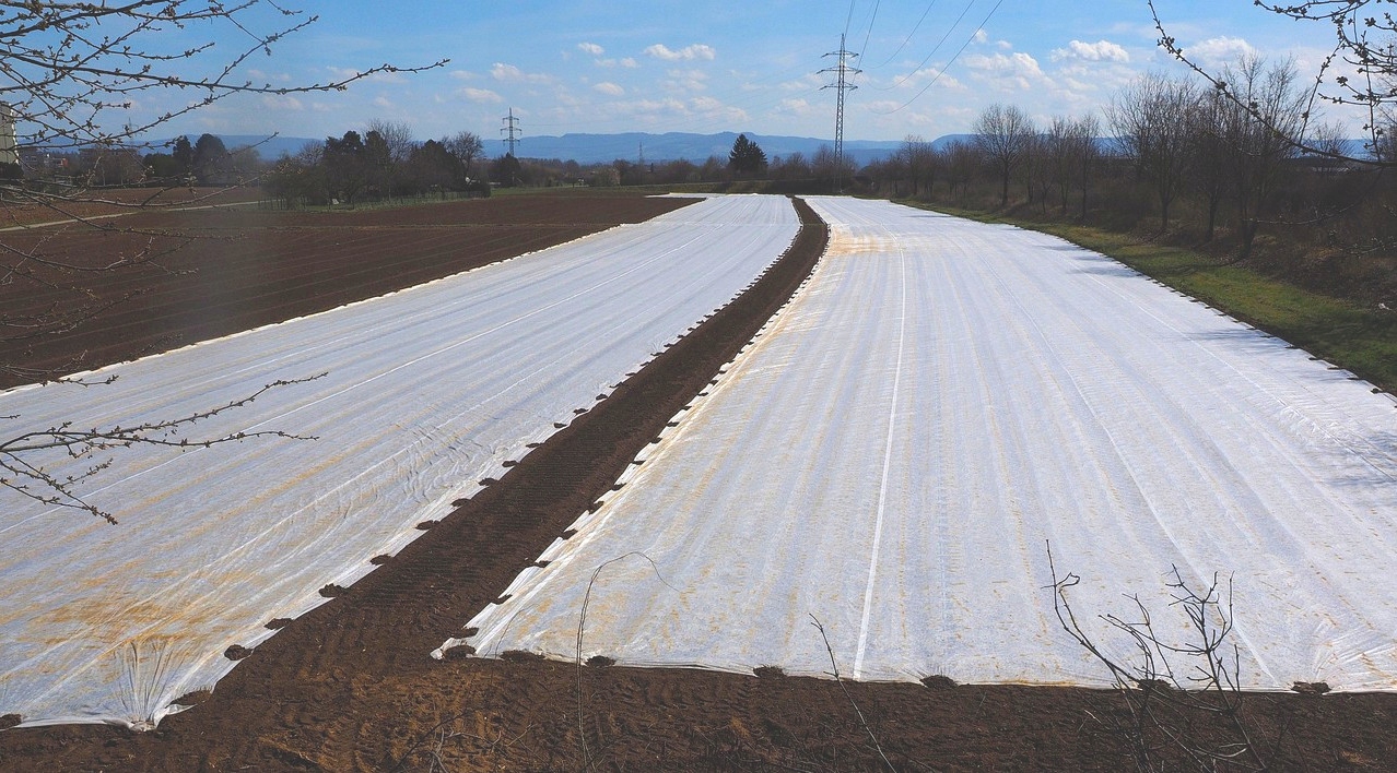 PLANDEKA 2x3 OGRODOWA TARASOWA PRZEŹROCZYSTA ZBROJONA 100g UV+ NA ROŚLINY Gramatura (g/m2) 100 g/m2