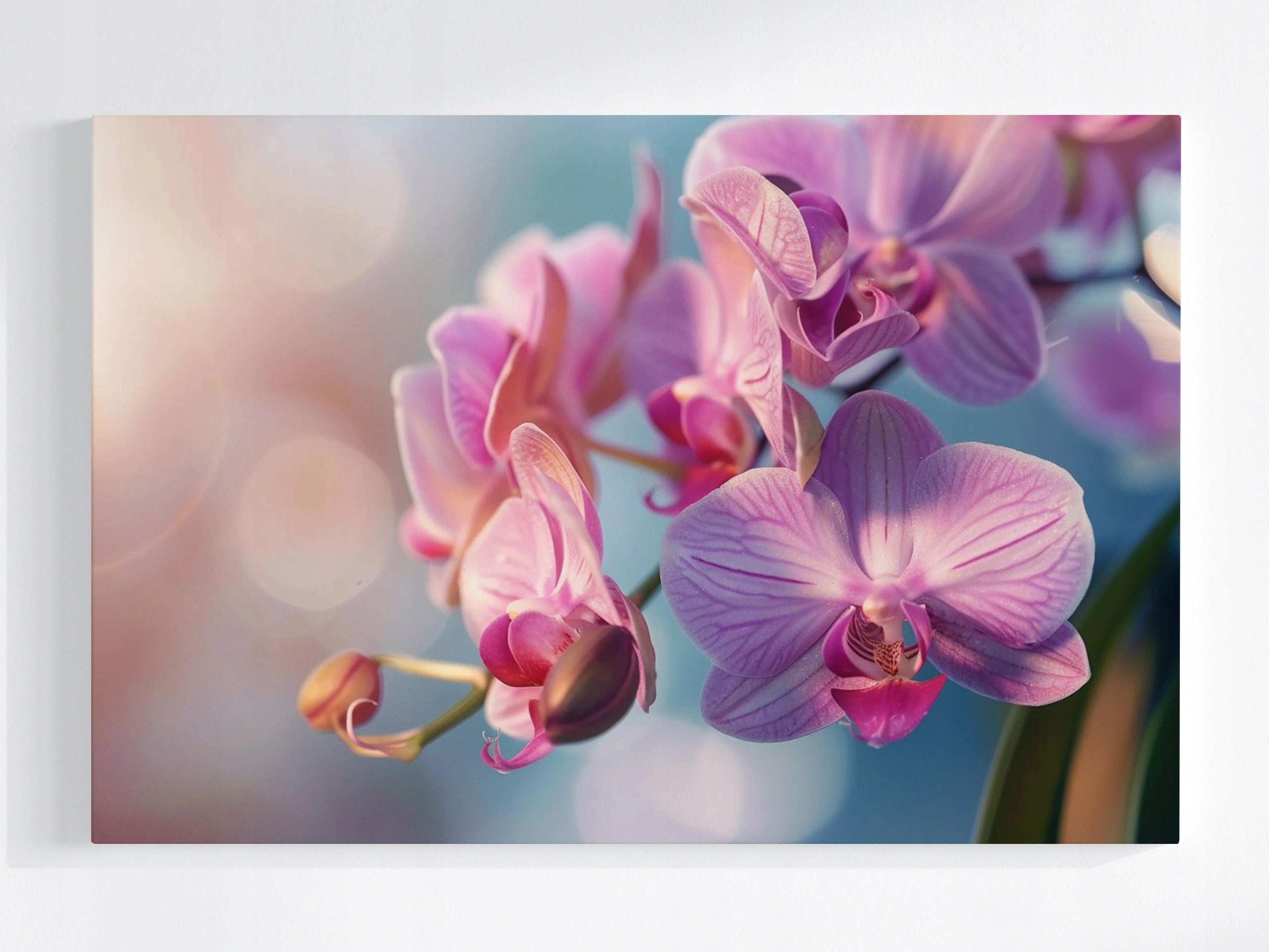 Obraz Na Plátně Canvas Květina Orchidej Příroda Zen 120x80