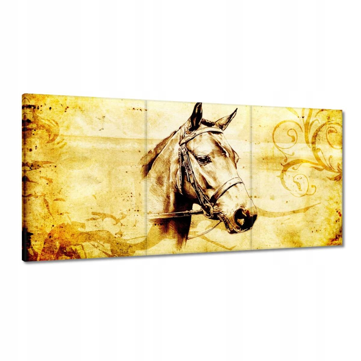 Obrazy 180x90 Hlava koňa