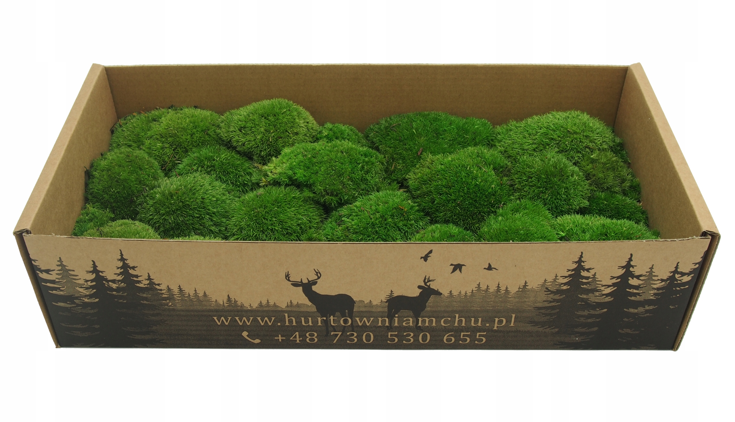 Mech Poduszkowy karton 200g NETTO z Turcji Wysokość produktu 10 cm