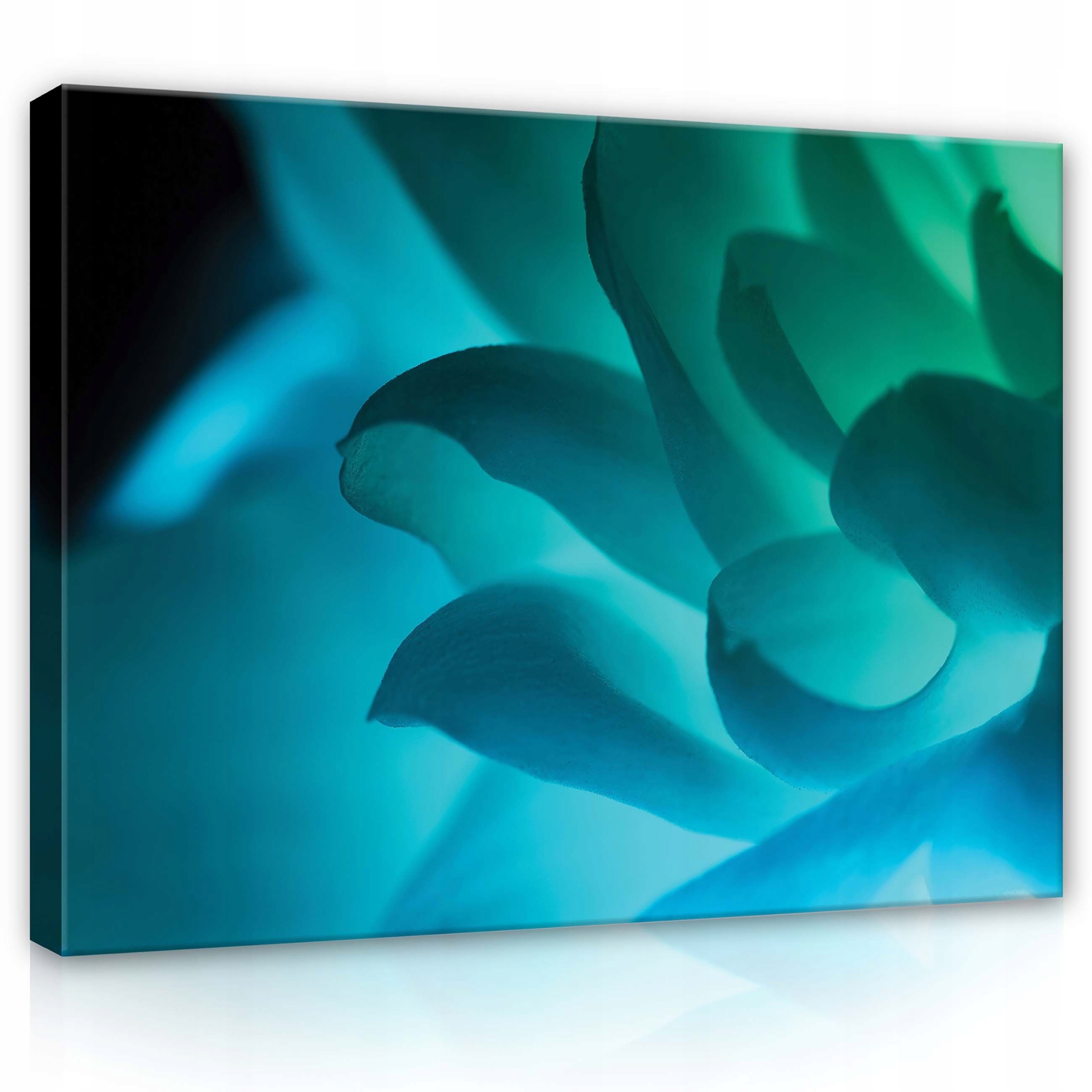 Obraz 80x60 Modrý květ lotos makro okvětní lístky modrá zeleň klid