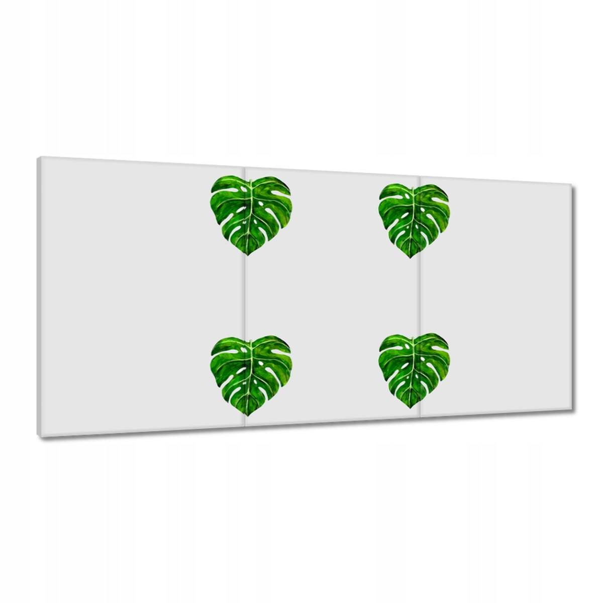 Obrazy 120x60 Monstera děravé listy