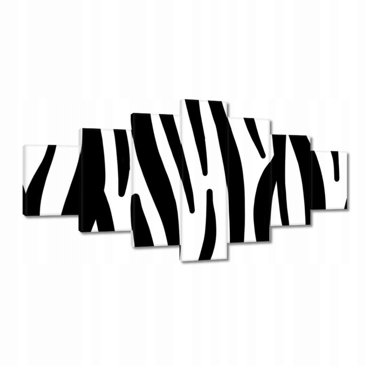 Obrazy 210x100 Zebra Pruhy