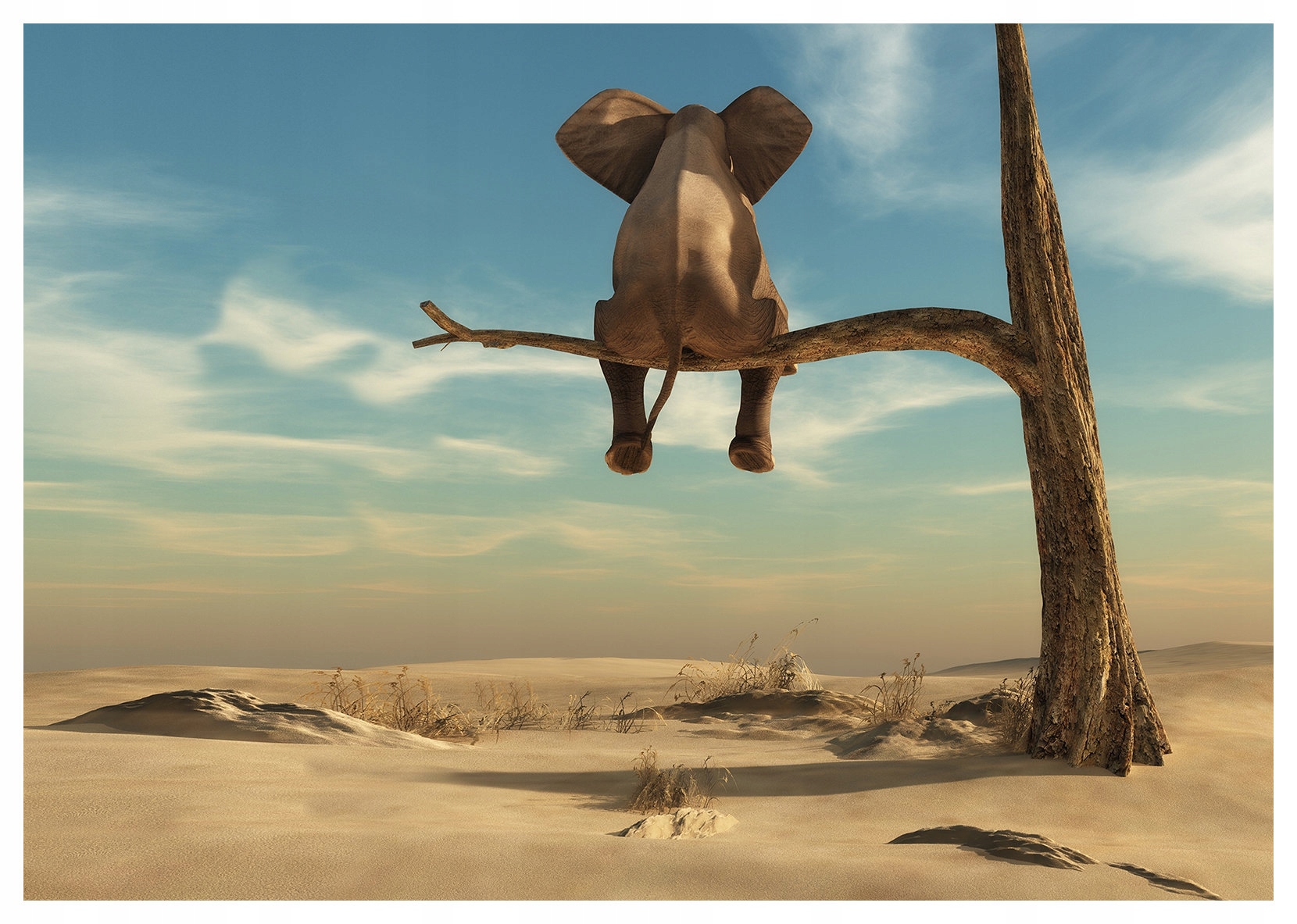 Fototapeta vlies Slon Strom Púšť Surrealizmus Fantázia 416x254 lepidlo