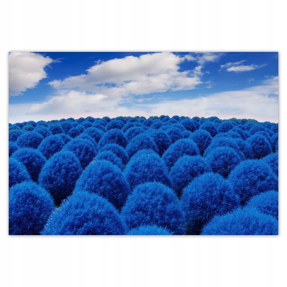 

Fototapety flizelina 104x70 Classic Blue
