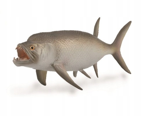 

Wymarła ryba Xiphactinus
