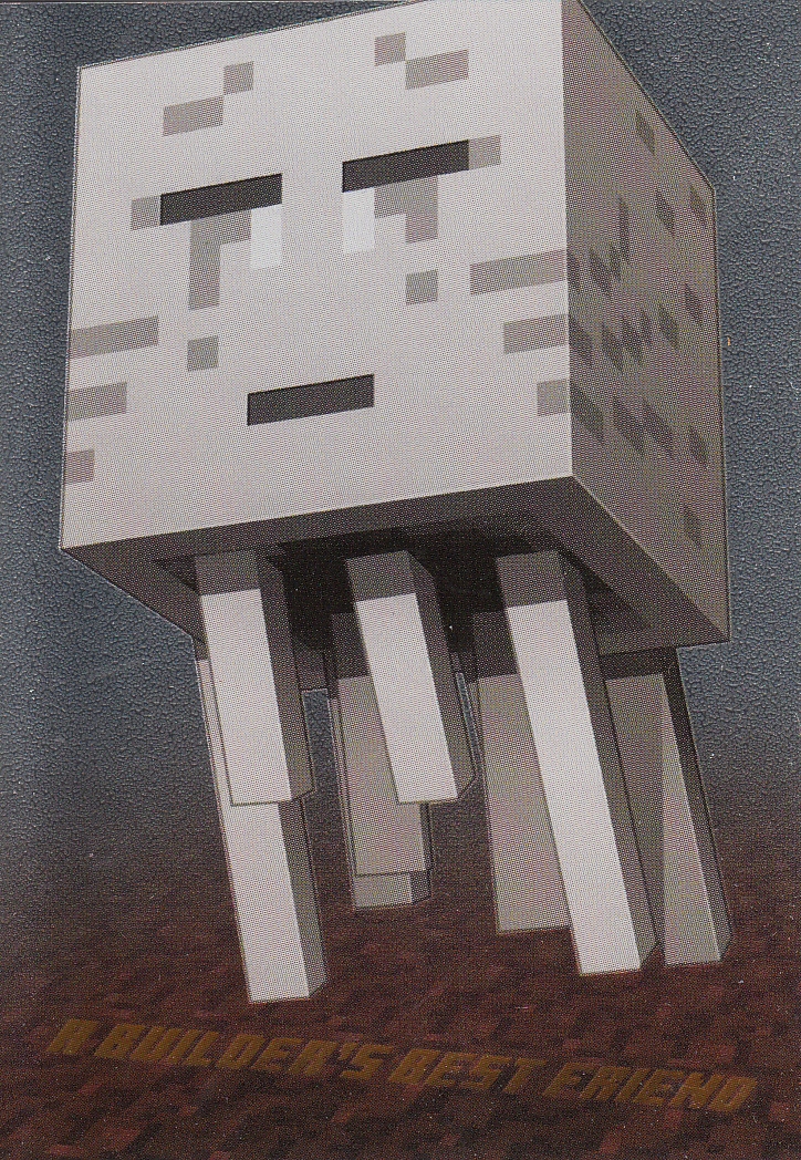Panini Minecraft Time To Mine Hero A builder's best friend 13