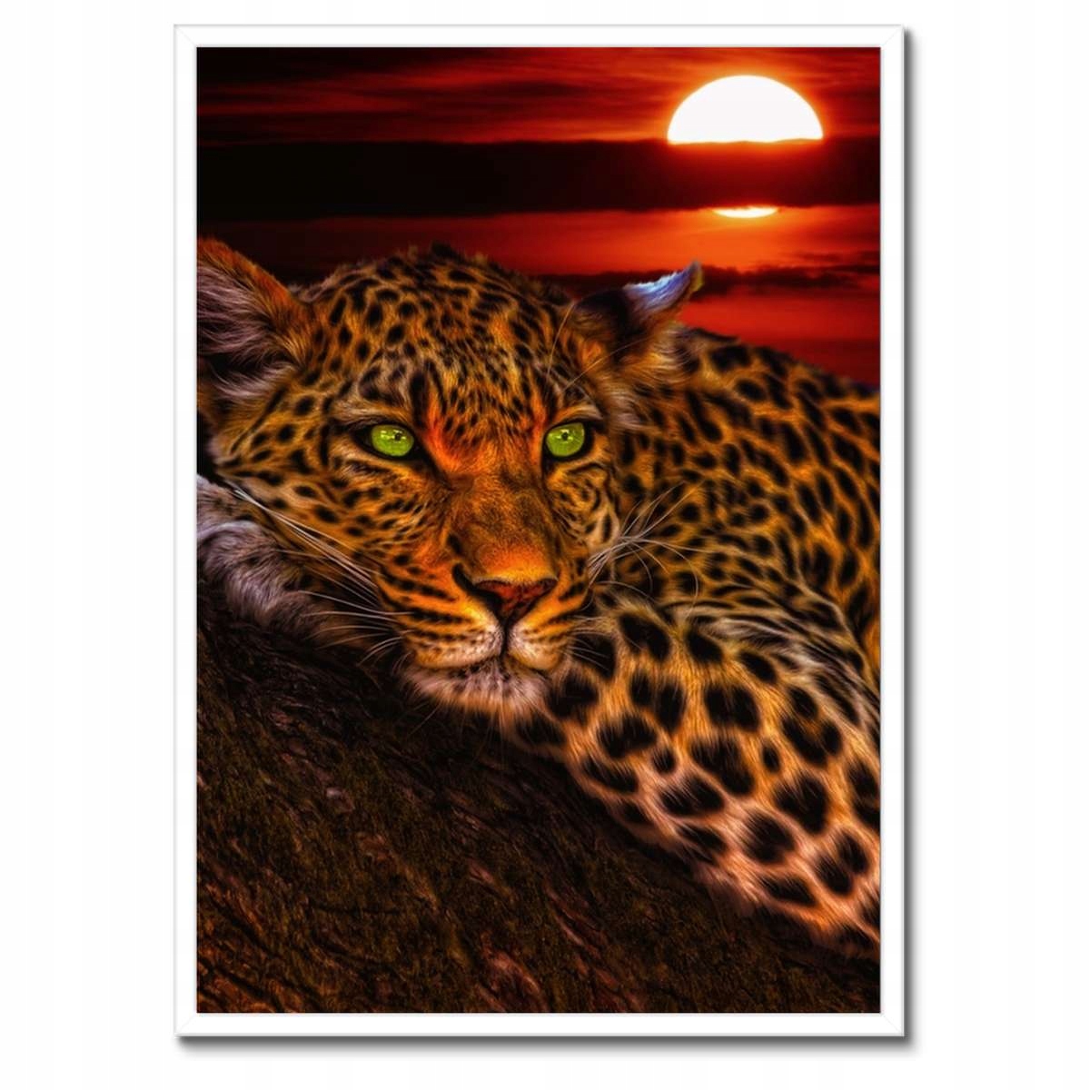 Plakáty v rámu 50x70 Leopard pantera
