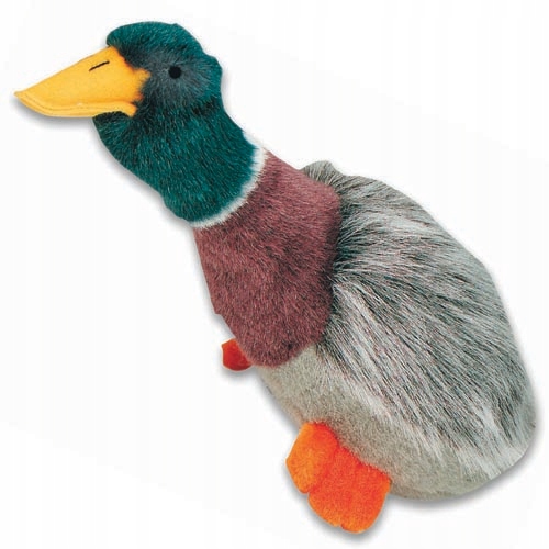 

Pluszowa dzika kaczka dźwięk Zabawka Psa