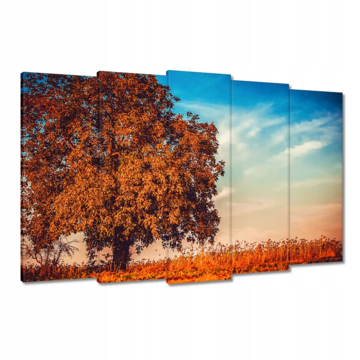 Obrazy 150x95 Podzimní barvy Krajina