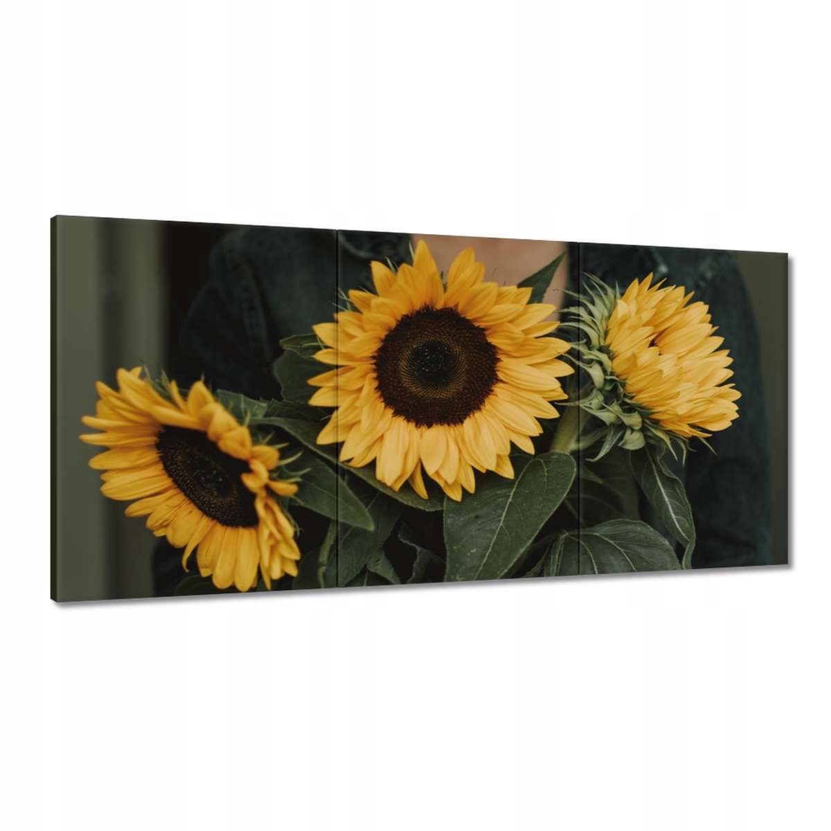 Obrazy 180x90 Slnečnice Kvety