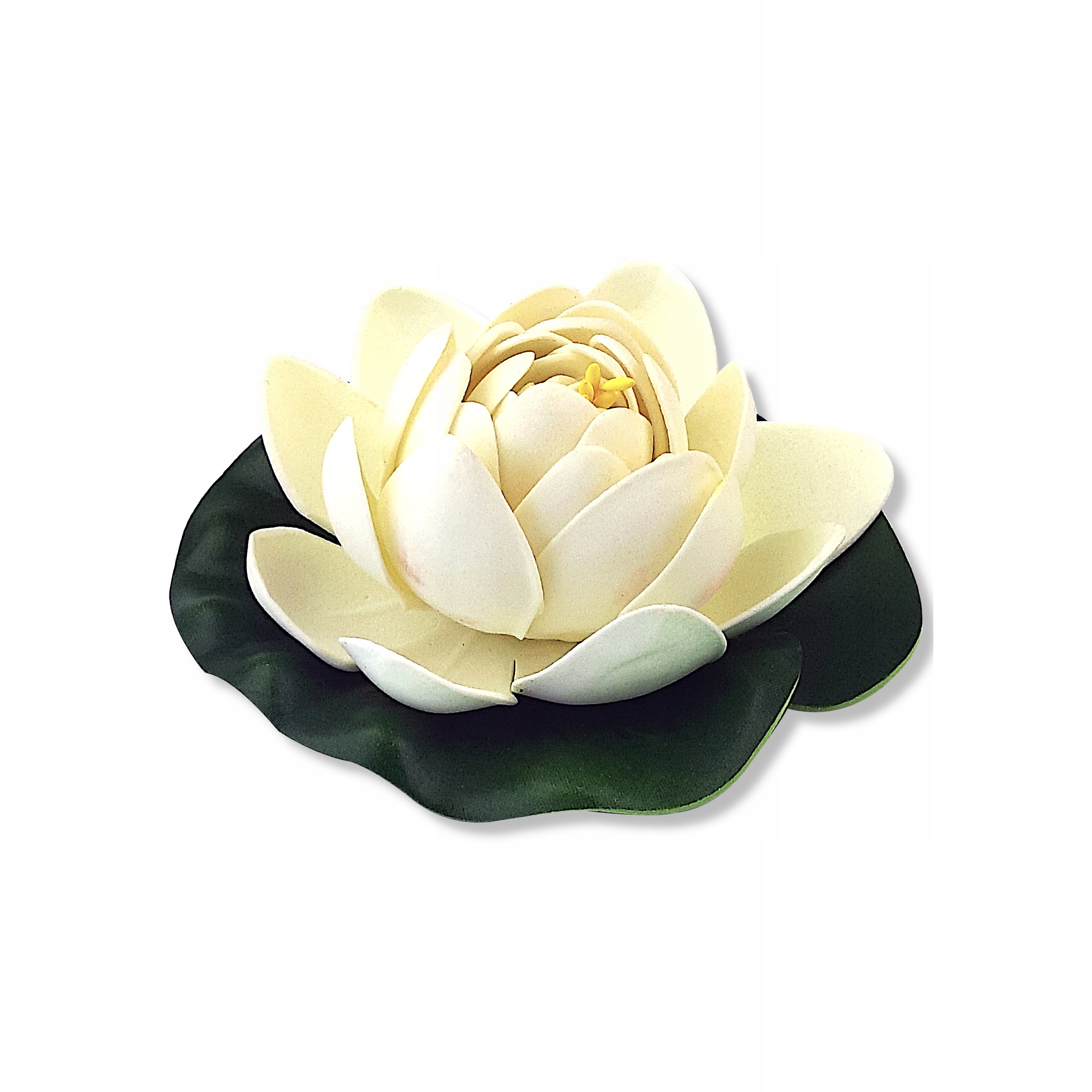 Lilia wodna pływająca biała 11 cm alabaster