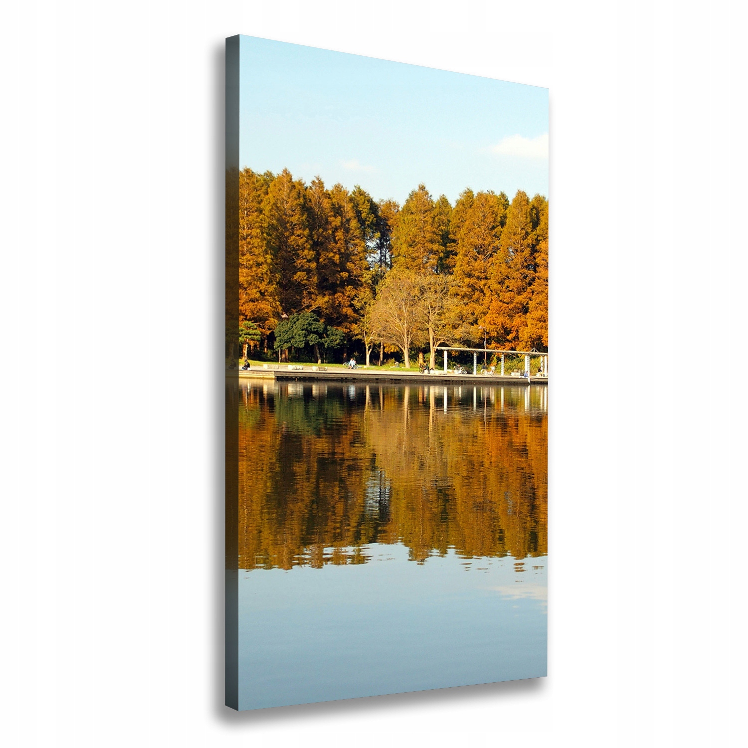 

Foto obraz na płótnie Park jesienią 60x120 cm