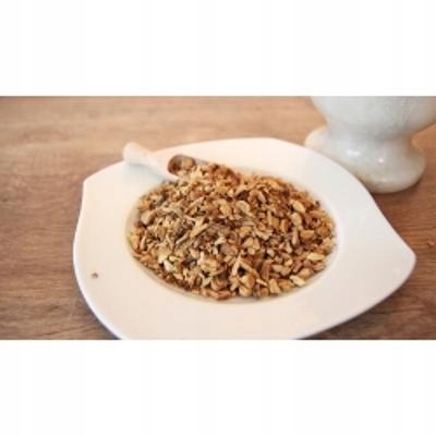 Levně Rdestovník japonský Kořen1 Kg Rafex