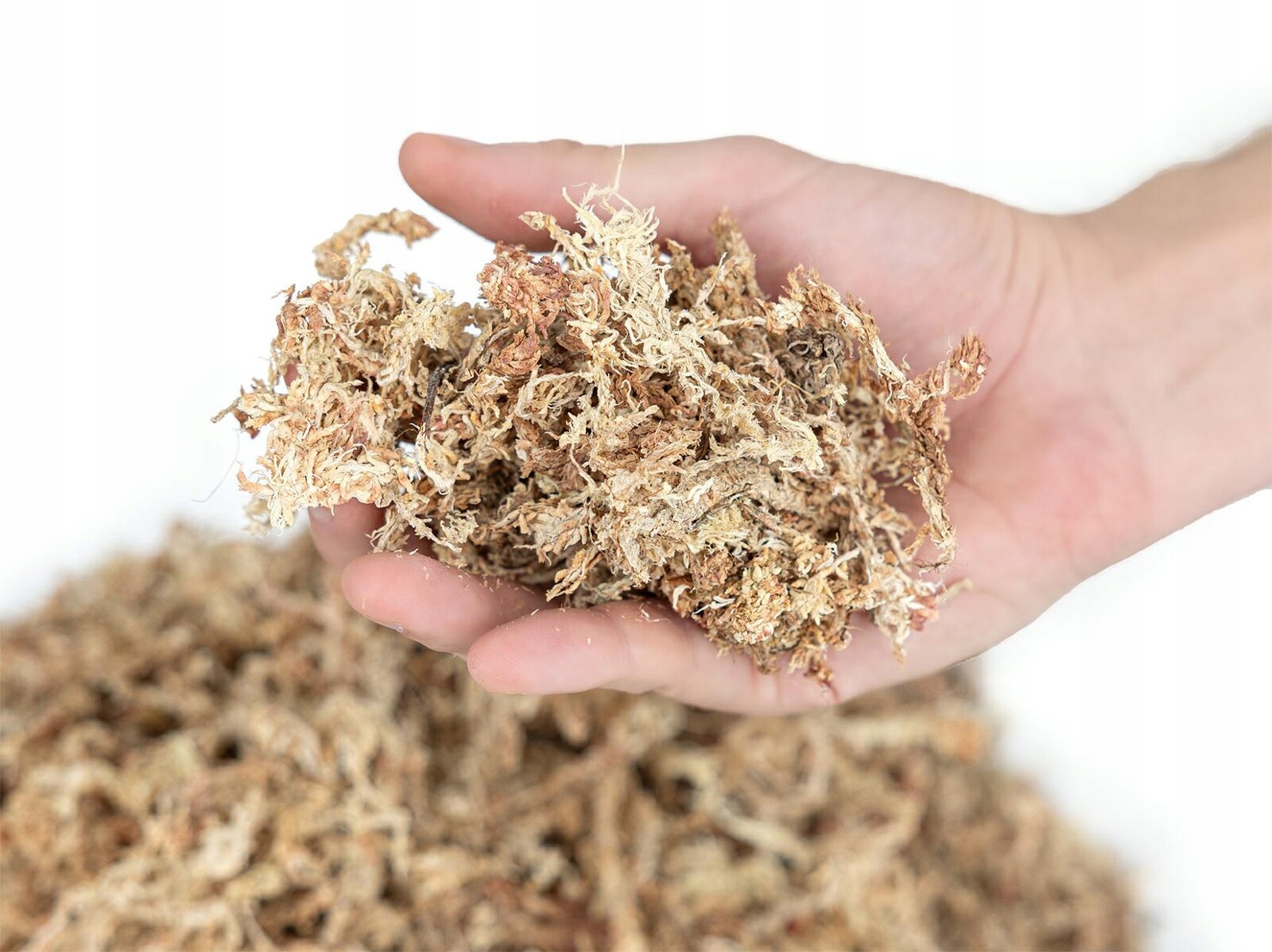 Mech Torfowiec Sphagnum Moss 500 G Dodatek Do Podloża Roślin