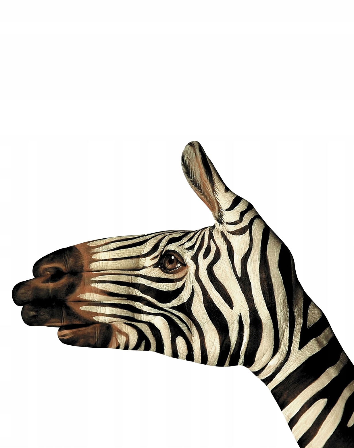 Deka oboustranný přehoz 160x200 z mikrovlákna Zebra (1640386) • Cena,  Opinie • Deky a přehozy 12781613605 • Allegro