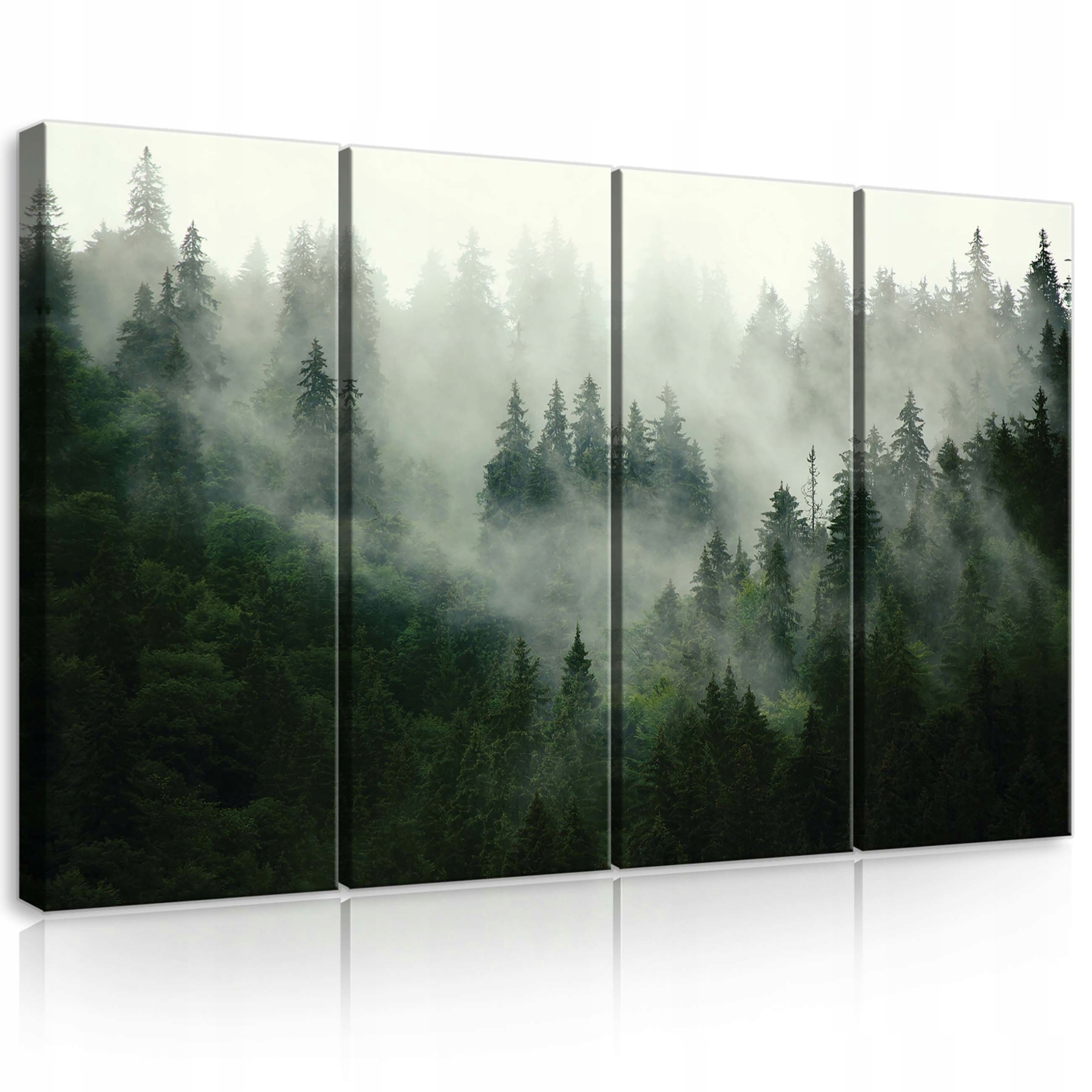 Obraz 120x80 Hmlistý les ihličnatý les príroda mystika pokoj ticho